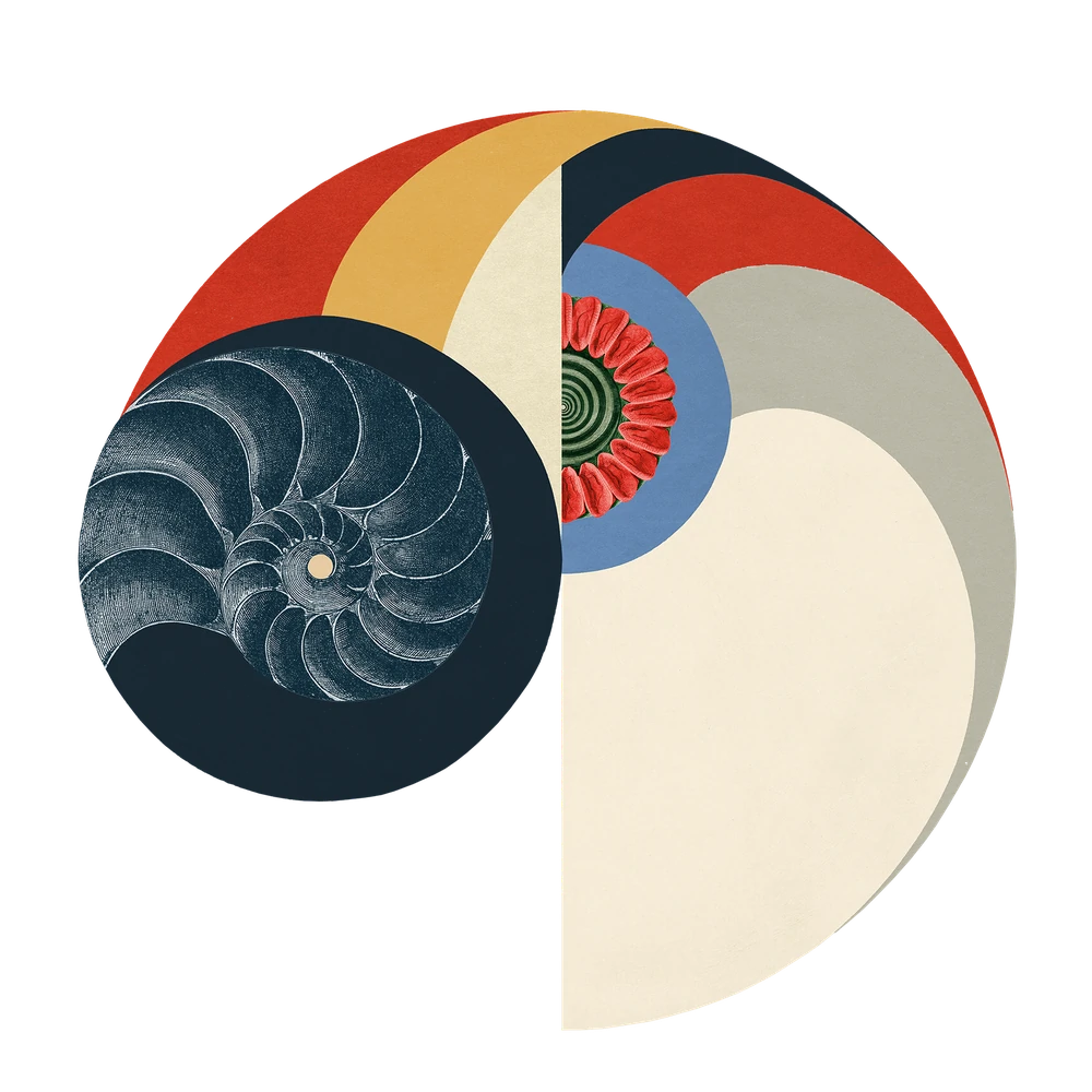 Cover art: an engraved nautilus shell in a deep navy disc, curled inside arcs of vermilion, ochre and gray with a cream crescent, a small botanical mandala at its heart, on bone paper